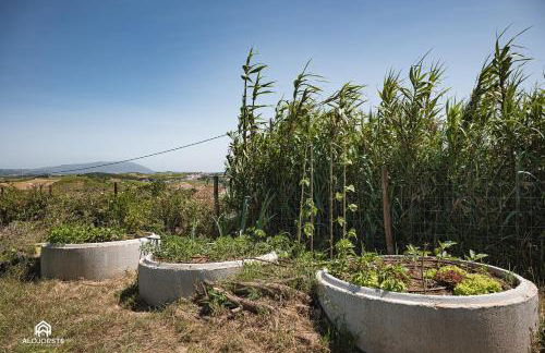 Quinta da Estima - Foto 63