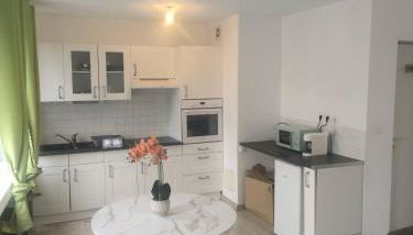 Centre Proche vieille ville et remparts-Appartement 50m2 - Foto 3