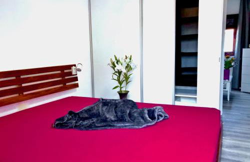 Penthouse Valle Gran Rey - Foto 10