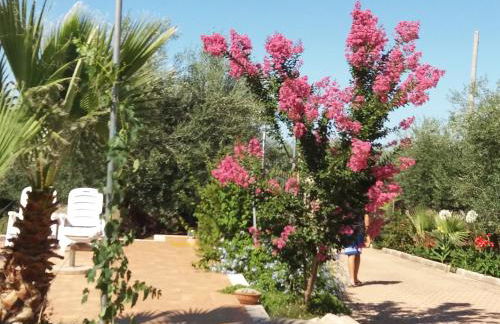 Villa Calendula - Foto 56