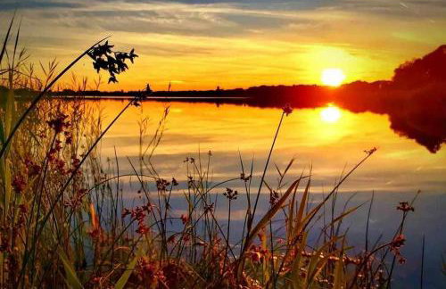 Chill na Skrzynce - Foto 31