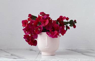 Dear John - Photo 11