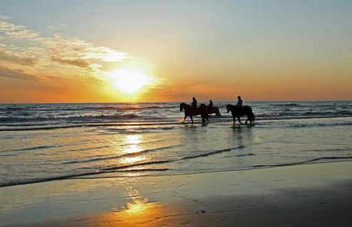 Mer et Soleil à Blonville sur mer/ Deauville - Photo 21