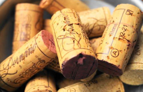 Fattoria Lornano Winery - Foto 110