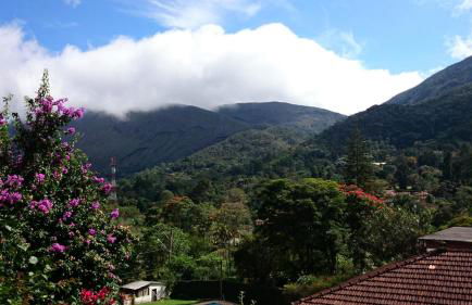 Casa de Araras - Foto 22