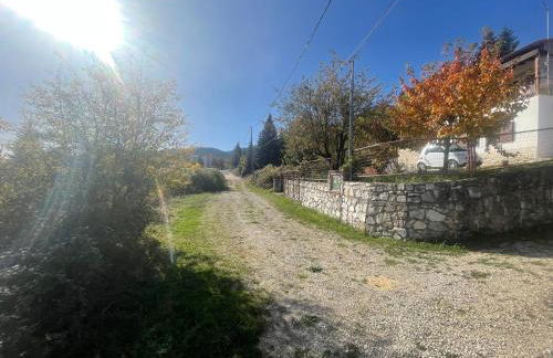 Forest House - Photo 19