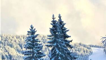 Appart à la montagne navette et parking gratuit - Foto 3
