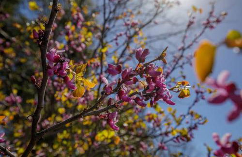 The Haven -In Town, NEWLY remodeled, Private, Stocked - Foto 26