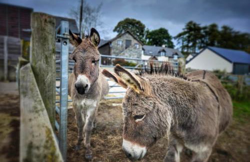 Shepherd's Watch Cottage - 5* Cyfie Farm with private hot tub - Foto 35