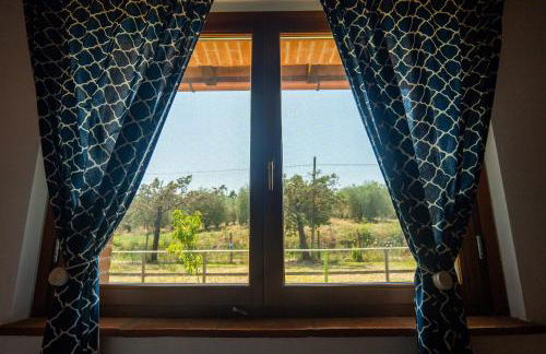 Agriturismo Anfora della Vita - Foto 19