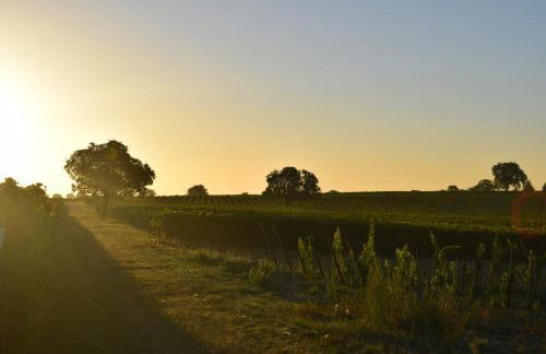 Ferienhaus & Weingut am Steingebiss - Foto 61