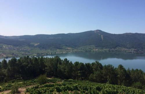 Cepas Da Cuenga - Foto 45