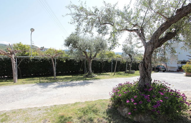 Apollon Apartments - Photo 13