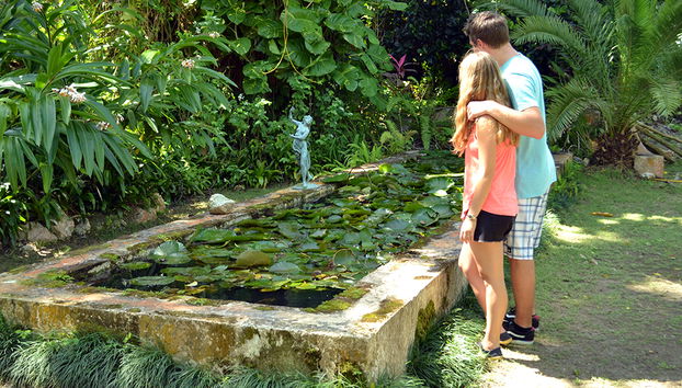 Pase a la finca de Plantation - Foto 5