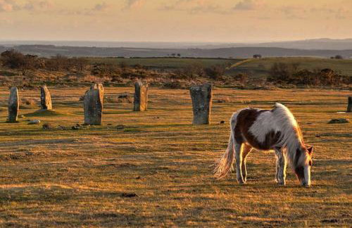 Modern, self-contained annexe in the countryside - Photo 14