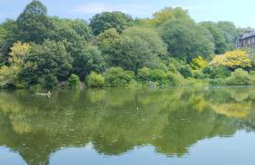 Cosy oasis with a view - Foto 26