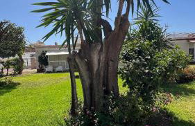 Holiday Studio by Meatina - Foto 44