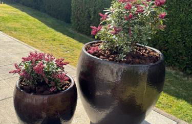 Tannenjäger - Foto 21