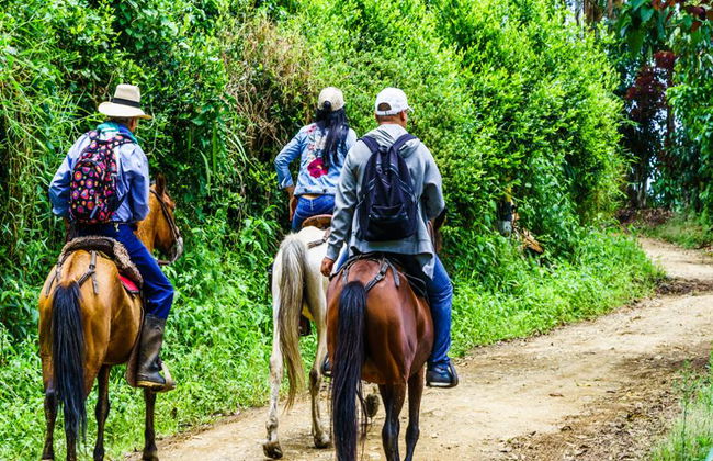 Descubra el Valle del Cocora y Paseo a Caballo en Salento - Excursión Privada de Día Completo - Foto 6