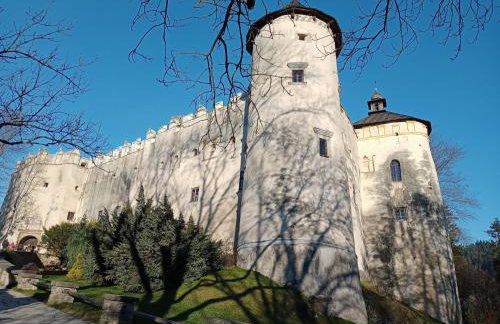 Hortensjowy Zakątek w Pieninach - Foto 34