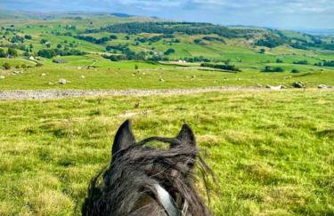 Charming dog-friendly Yorkshire Dales Cottage, Austwick - Foto 12