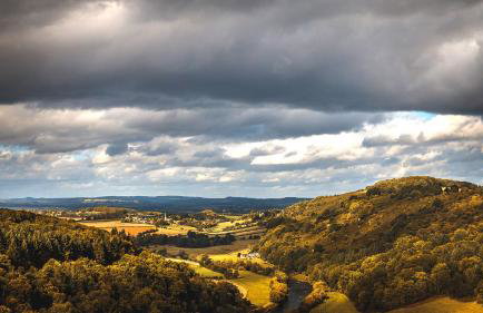 Betty Shepherd's Hut - Photo 15