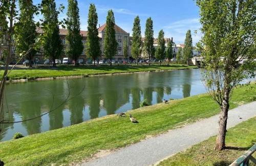 Résidence Calme au Bord de Seine à Melun avec Jardin Terrasses et vue sur la Seine - Foto 37