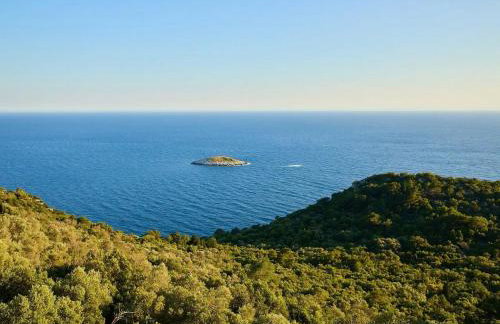 Apartments with parking space Maranovici, Mljet - 22339 - Foto 26