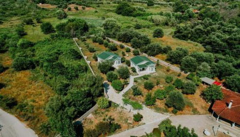 Oikies Verde - Foto 3