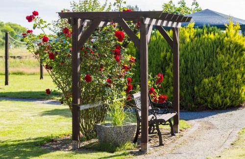 Familien-Ferienanlage Seefeldt - Foto 14