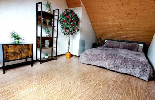 Haushälfte mit Jakuzzi in Frankenberg - Foto 20