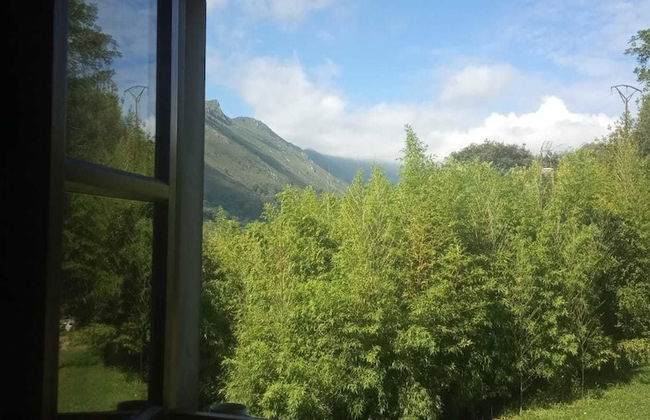 Bosque de Cuevas - Foto 13