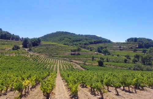 La maison du Barroux avec vue, calme et piscine - Foto 45