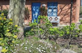 Inselhuus Windkieker Fehmarn - Foto 18