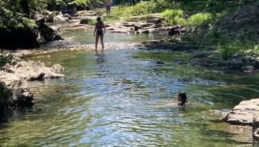 The Cottage in East Poultney - Foto 5