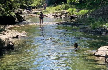 The Cottage in East Poultney - Foto 5