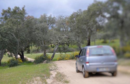 Fontes - A essência do Alentejo com lago privado - Foto 30