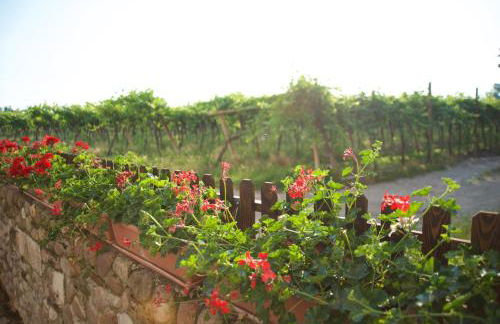 Agriturismo Albarello - Foto 4