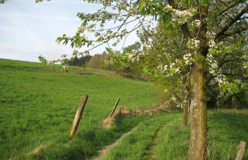 Ferienwohnung am Naturgarten - Foto 10
