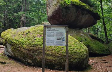 Ferienwohnung 37 Sonnenwald - Foto 43