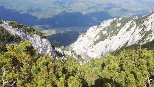 Randonnée privée et moyenne d'une journée dans les Carpates - Photo 3