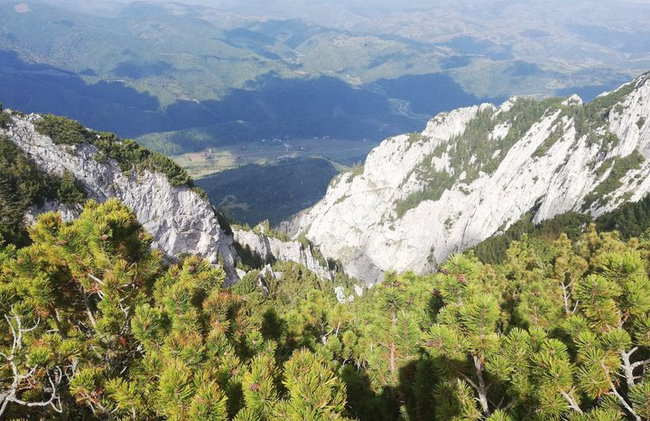 PRIVATE, MEDIUM Day Hike in Carpathian Mountains - Photo 3