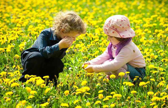 Agriturismo Vulcano - Foto 37