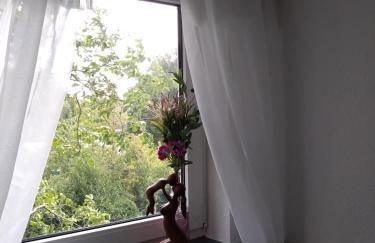 Charmantes Ferienhaus in Nordfriesland - Foto 73