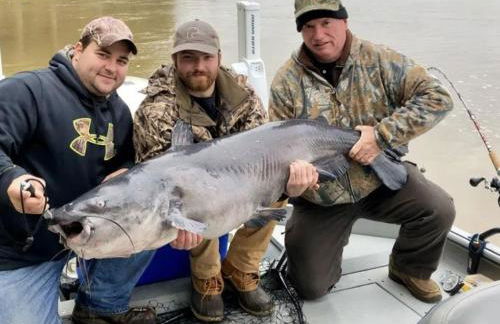 Charming Escape - Private Hot Tub! - Foto 26