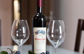 Nany-Villa with heated pool - Foto 24