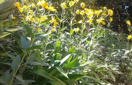 La Casa di Giulia - Foto 30