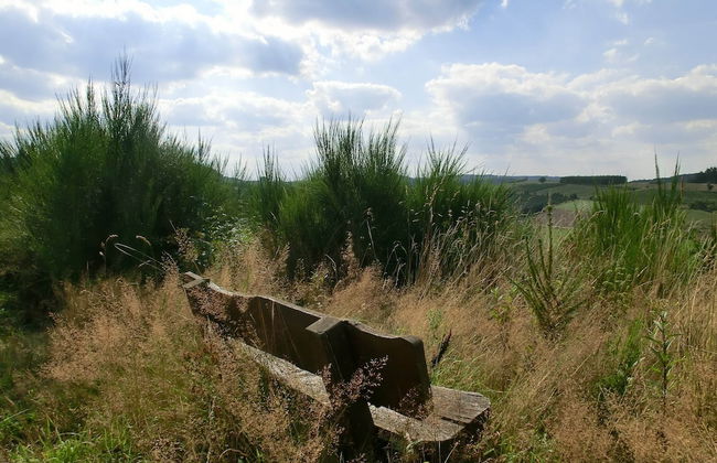 Ruhige Wohnung im Sauerland mit Terrasse - Foto 35