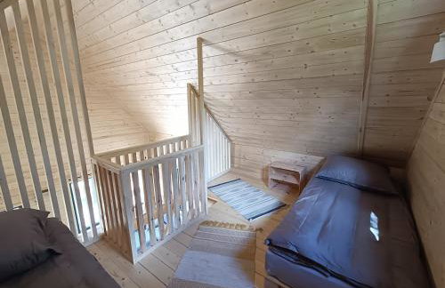 Zdalnie z Lasu - Siedlisko w Puszczy Białowieskiej - Foto 15