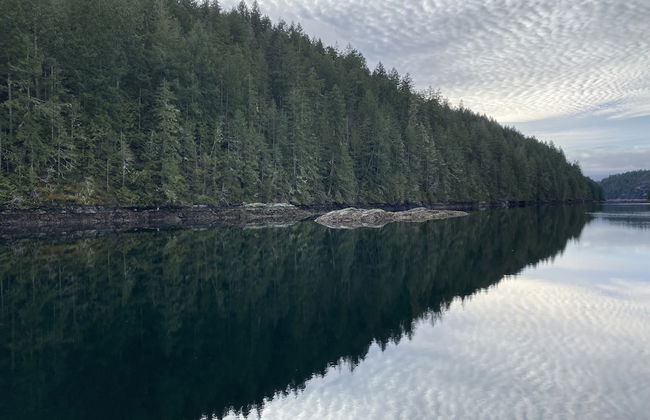 Heartwood Retreats - Foto 55